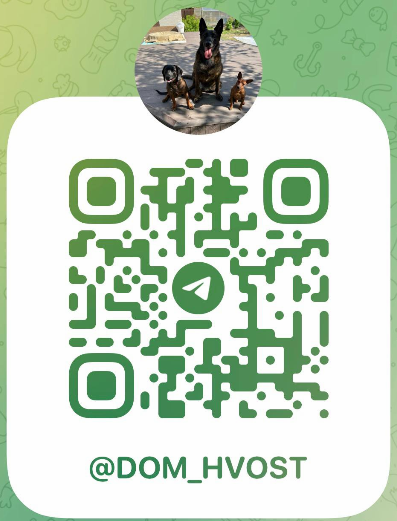 QR код школы дрессировки собак "Проводник"